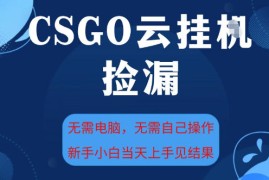 CSGO云挂G全自动捡漏，最新独家玩法，无需电脑操作，新手小白日入5张 【揭秘】