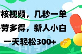 （13719期）视频审核，新手可做，多劳多得，新人小白一天轻松300 