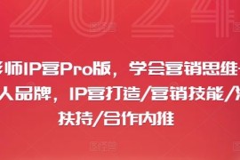 摄影师IP营Pro版，学会营销思维 打造个人品牌，IP营打造/营销技能/流量扶持/合作内推