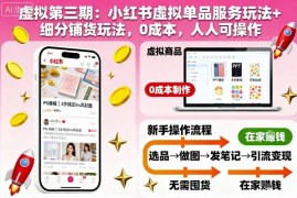 虚拟第三期：小红书虚拟单品服务玩法 细分铺货玩法，0成本，人人可操作