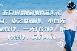 五月份最赚钱的蓝海项目，靠乙女赚钱，小白无脑操作，一天几分钟，矩阵操作，月入4w 