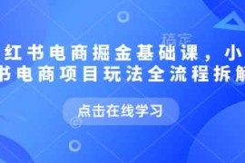 小红书电商掘金课，小红书电商项目玩法全流程拆解
