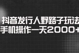 （14068期）抖音发行人野路子玩法，手机操作一天2000 