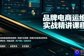 品牌电商运维实战精讲课程｜吃透电商品牌落地逻辑、穿越行业周期、搭建长效变现运营体系