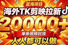 海外TK拉新最新玩法，剪映就能做，不用经验不用粉丝，单条视频收益上限2W 
