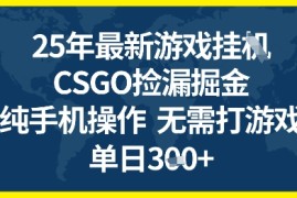 25年CSGO游戏搬砖，全自动挂G，不需要玩游戏，手机操作日入3张 【揭秘】