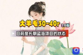 【大羊毛】几分钟30-40r，【流量体联盟】，可以矩阵，操作无脑简单