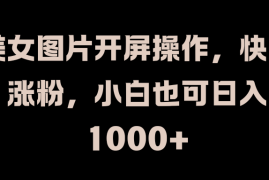 美女图片开屏操作，快速涨粉，小白也可日入1000 