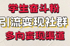 学生奋斗粉，引流变现做社群，多向变现渠道，暑假热门