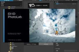 DxO PhotoLab v10.2.0.496中文直装版
