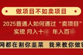 必看，做项目不如卖项目，2025普通人如何通过“卖项目”实现月入十个，年入百个