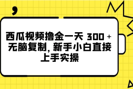 西瓜视频撸金一天 300＋，无脑复制，新手小白直接上手实操