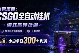 自营项目：CSGO全自动挂G，游戏搬砖捡漏，软件科技简单易用，长期稳定，小白单日300 利润【揭秘】
