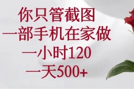 （14248期）你只管截图，一部手机在家做，一小时120，一天500 