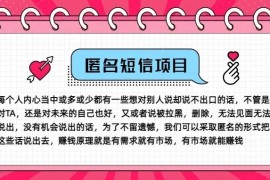 冷门小众赚钱项目，匿名短信，玩转信息差，月入五位数