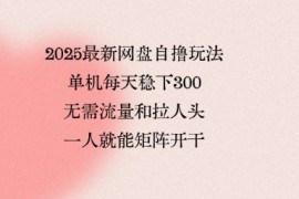 2025最新网盘自撸玩法，单机每天稳下3张，无需流量和拉人头，一个人就可轻松矩阵，全网独一份【揭秘】