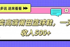 卖高端莆田篮球鞋，一天收入500 ，每天两小时，小白福利
