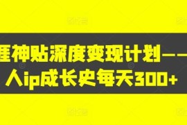 天涯神贴深度变现计划——个人ip成长史每天300 【揭秘】