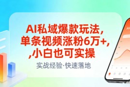 AI私域爆款玩法，单条视频涨粉6W ，小白也可实操