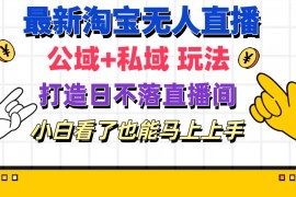 （11586期）最新淘宝无人直播 公域 私域玩法打造真正的日不落直播间 小白看了也能…