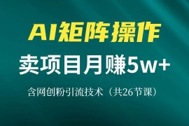 （13335期）网创IP打造课，借助AI卖项目月赚5万 ，含引流技术（共26节课）