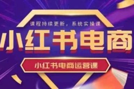 小红书电商运营实操课，新手从0~1落地实操