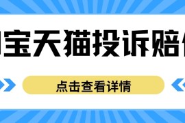 外面带车收费488，蓝海项目，淘宝天猫不发货，虚假发货赔付项目，号称日入500＋