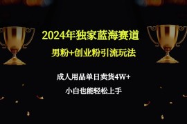 2024独家蓝海赛道，男粉＋创业粉引流玩法。