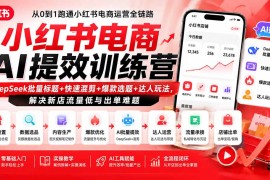 小红书电商AI提效训练营—DeepSeek批量标题 快速混剪 爆款选题 达人玩法，解决新店流量低与出单难题