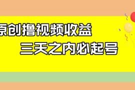 最新撸西瓜视频原创收益玩法拆解，三天之内起号，一天保底 100 