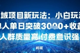 私域项目新玩法：小白玩法单人单日突破1k收益人群质量高付费意识强