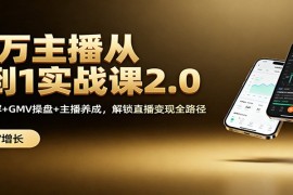 百万主播从0到1实战课2.0：机制拆解 GMV操盘 主播养成，解锁直播变现全路径