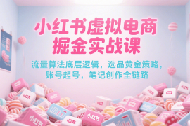 小红书虚拟电商掘金实战课，流量算法底层逻辑，选品黄金策略， 起号，笔记创作全链路
