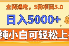 全网通吃，S粉项目5.0，最新野路子，纯小白可操作，有手就行，无脑照抄，单日变现5000 ，纯保姆教学