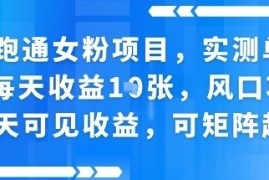 新跑通女粉项目，实测单账号每天收益多张，风口项目当天可见收益，可矩阵起号