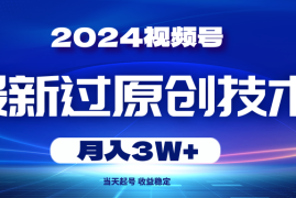 （10704期）2024视频号最新过原创技术，当天起号，收益稳定，月入3W 