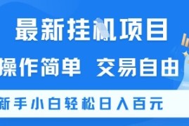 最新挂G项目，操作简单，交易自由，新手小白轻松日入100 【揭秘】
