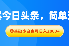 （11077期）拉爆今日头条，简单无脑，零基础小白也可日入2000 
