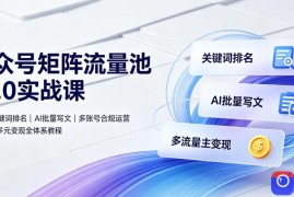 公众号矩阵流量池10.0实战课｜搜一搜关键词排名、AI批量写文、多账号合规运营、流量主多元变现全体系教程
