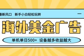 最新蓝海项目，海外美金广告，单机单日500 ，可矩阵放大，设备越多收益越大