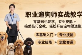 职业遛狗师实战教学：零基础也能学，专业技能   接单技巧全教，轻松开启宠物赛道副业