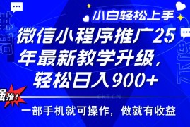 （14084期）2025年微信小程序推广，最新教学升级，轻松日入900 ，小白宝妈轻松上手…