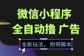 微信小程序全自动撸广告项目，彻底解决没流量的问题，新手一天8张 【揭秘】