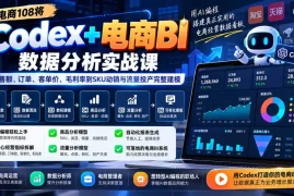 Codex 电商BI数据分析实战课-更新：从销售额、订单、客单价、毛利率到SKU动销与流量投产完整建模