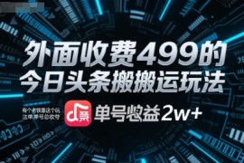 外面收费499的今日头条搬运玩法，有个老铁靠这个玩法单号总收益2w 