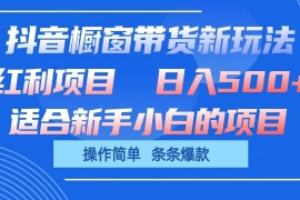 抖音橱窗带货新玩法，单日收益500 ，操作简单，条条爆款，新手小白也能轻松上手