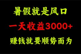 （11690期）一天收益3000  赚钱就是顺势而为，暑假就是风口