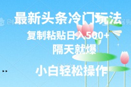（11414期）最新头条冷门玩法，隔天就爆，复制粘贴日入500 