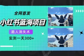 小红书蓝海项目，路人消失术，实测一天 300 