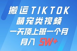 搬运tiktok萌宠视频，一部手机可做，项目长期稳定，月入5W 